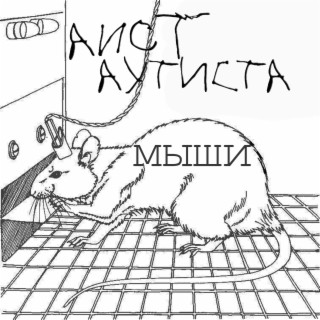 Мыши