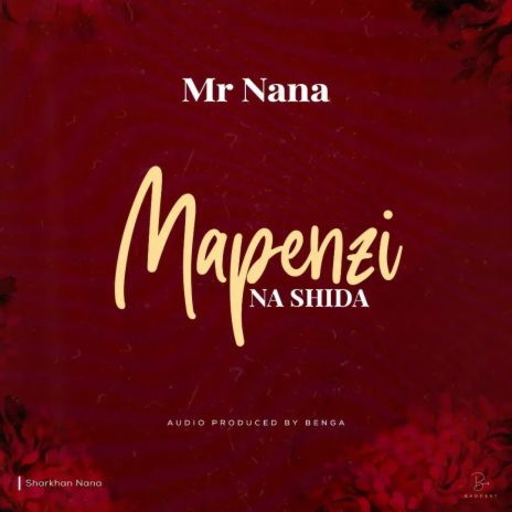 Mapenzi Na Shida | Boomplay Music
