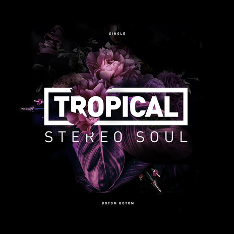 Tropical stereo soul | Boomplay Music