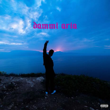 Dammi Aria | Boomplay Music