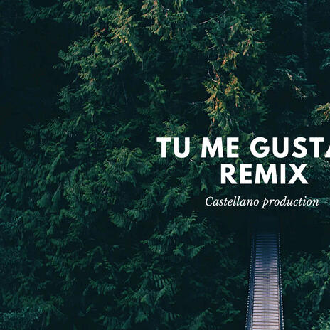 Tu me gustas remix | Boomplay Music