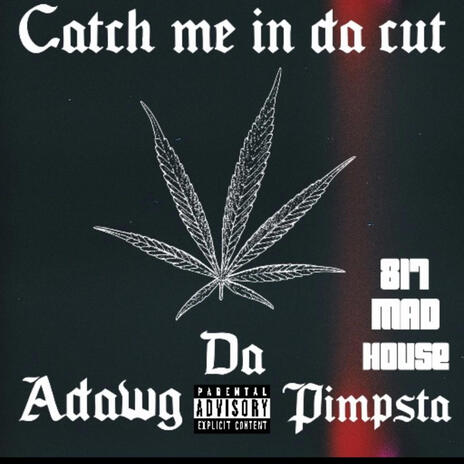 Catch me in da cut | Boomplay Music