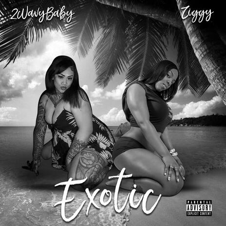 Exotic ft. Ziggy | Boomplay Music