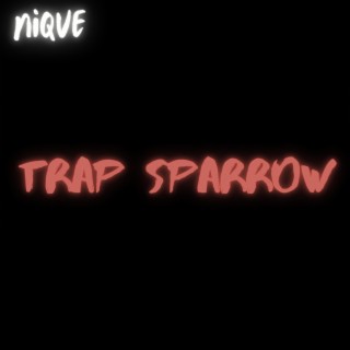 TRAP SPARROW lyrics | Boomplay Music