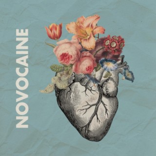 Novocaine lyrics | Boomplay Music