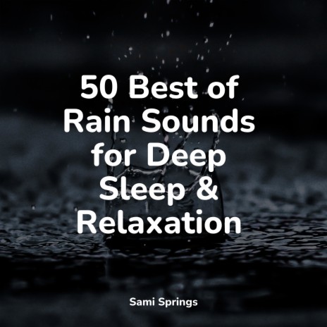 Rainy Night ft. Relaxing Sleep Sound & Zen Meditate | Boomplay Music