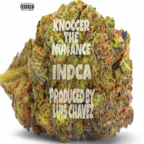 Indica | Boomplay Music