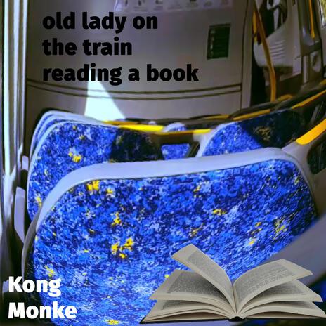 old lady on the train reading a book