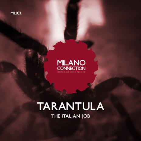 Tarantula (Original Mix)