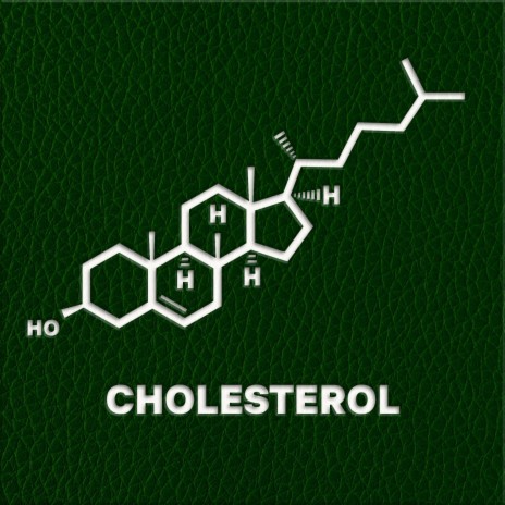 CHOLESTEROL ft. Temný Rudo | Boomplay Music