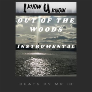 Out Of The Woods Instrumental