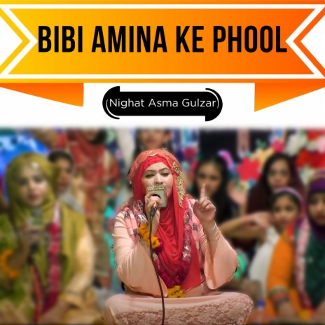 Bibi Amina Ke Phool | Boomplay Music