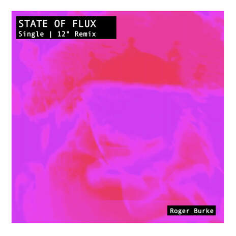 State of flux (12 Remix) | Boomplay Music