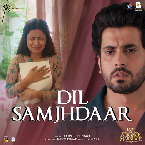 Dil Samajhdaar (From Luv Ki Arrange Marriage) ft. Jaidev Kumar & Kumaar | Boomplay Music