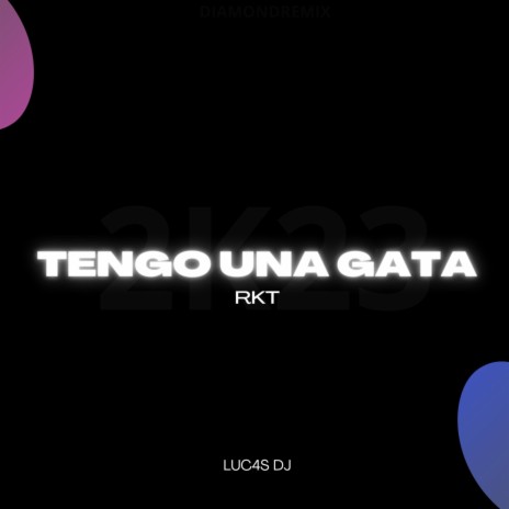 TENGO UNA GATA RKT | Boomplay Music