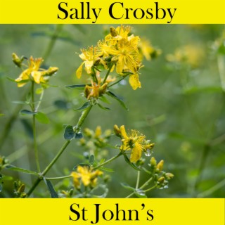 St John's lyrics | Boomplay Music