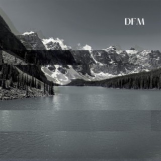 DFM (radio edit)