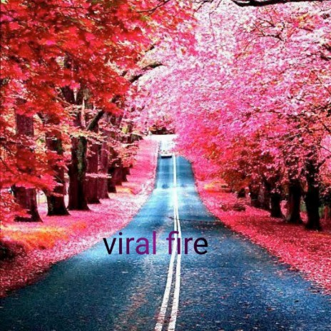 Viral Fire | Boomplay Music