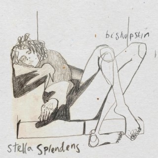 Stella Splendens