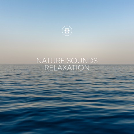 Deep Relaxation | Boomplay Music