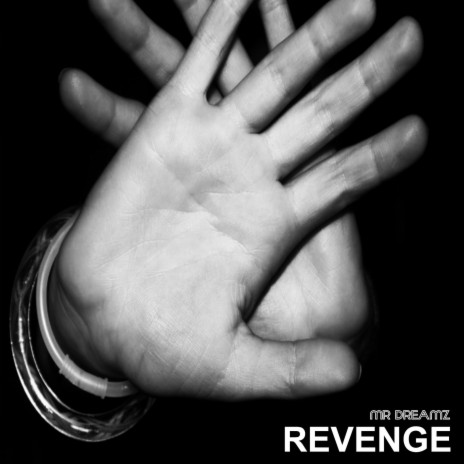 Revenge (Hip Hop Instrumental Mix) | Boomplay Music