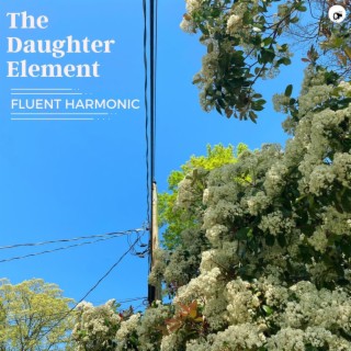 Fluent Harmonic