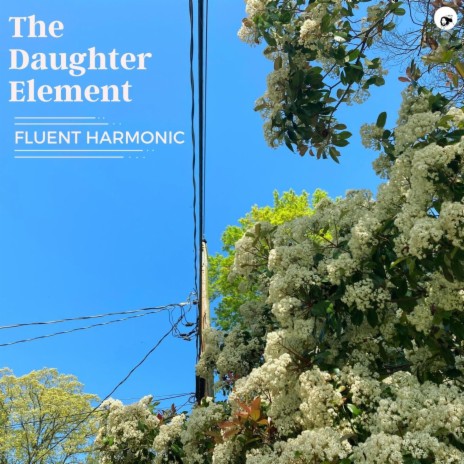 Fluent Harmonic | Boomplay Music