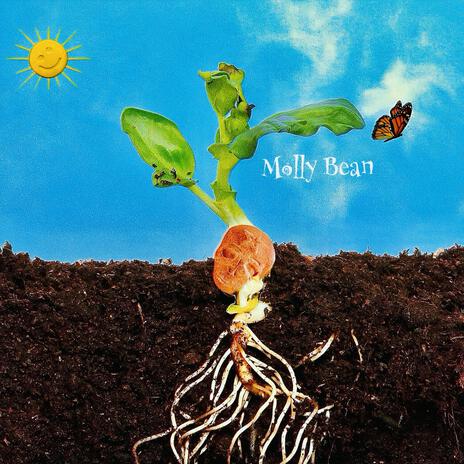 Molly Bean | Boomplay Music