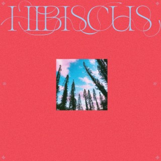 Hibiscus lyrics | Boomplay Music