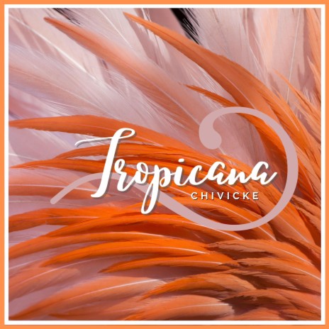 Tropicana | Boomplay Music