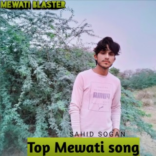 Top Mewati Song