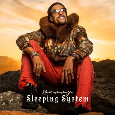 Sleeping System
