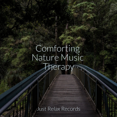 Melancholy Meadows Melodies ft. Nature Sound Collection & Meditation | Boomplay Music