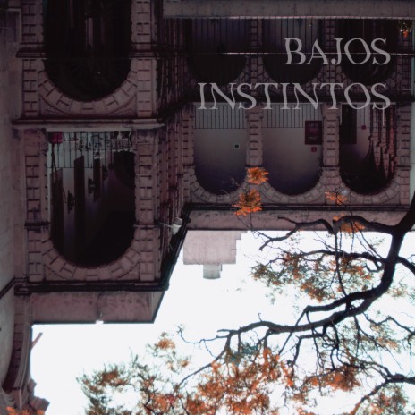 BAJOS INSTINTOS | Boomplay Music