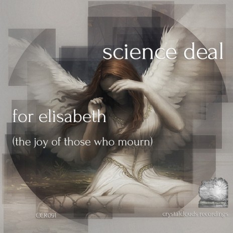For Elisabeth (The Joy Of Those Who Mourn) (Original Mix)