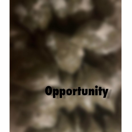 opportunity | Boomplay Music