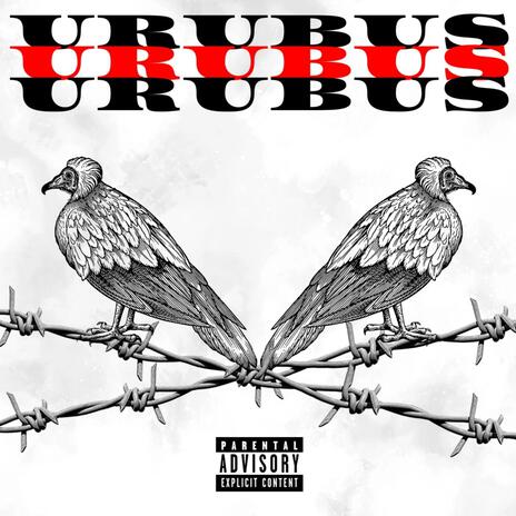 Urubus | Boomplay Music