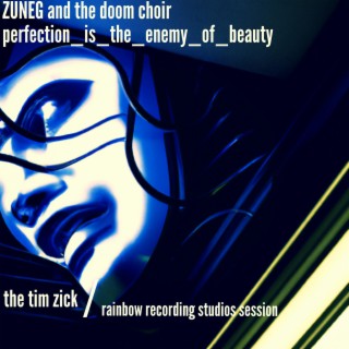 perfection_is_the_enemy_of_beauty (the tim zick / rainbow recording studios session)