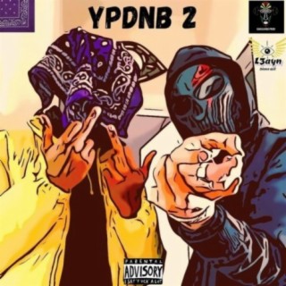 YPDNB 2