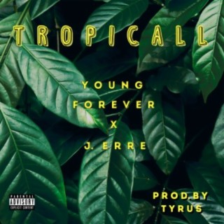 Tropicall