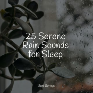 Natural Rain Sounds for Sleeping