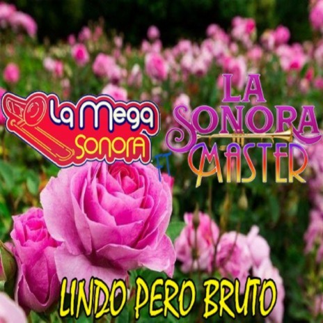 Lindo Pero Bruto ft. La Sonora Master | Boomplay Music