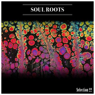 Soul Roots Selection 22