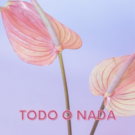 Todo o Nada | Boomplay Music