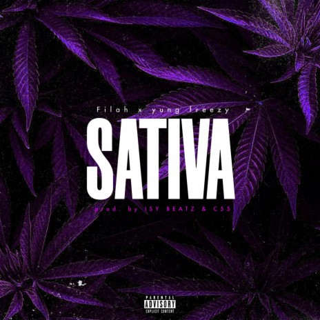 Sativa ft. yung freezy & Filah | Boomplay Music