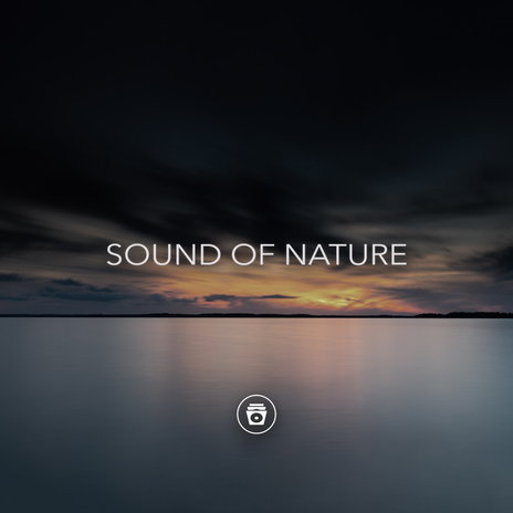 Pink Noise | Boomplay Music