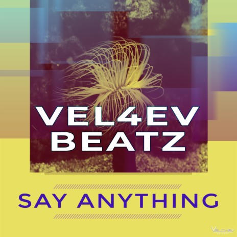 Say Anything | Boomplay Music