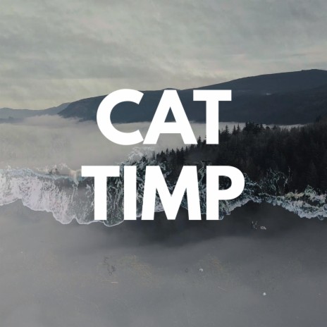 Cat Timp