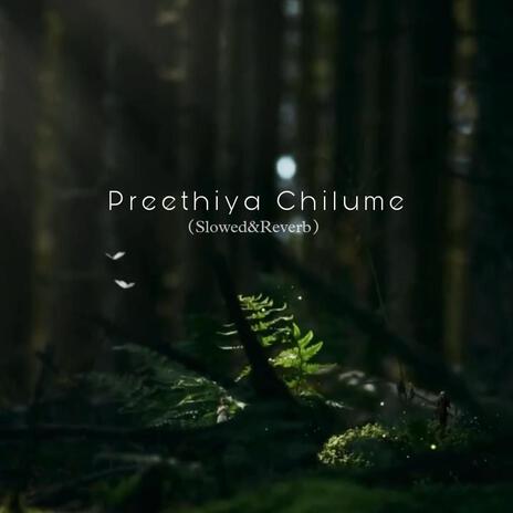 Preethiya Chilume (Slowed&Reverb) | Boomplay Music