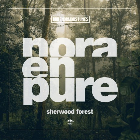 Sherwood Forest | Boomplay Music